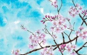 桜 〇自然と文化 - 【イベント】VAIABLEアートNFT