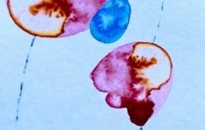 二輪の花5 - ぴぴ