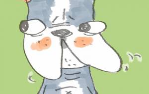 XLサイズ - 空叶論