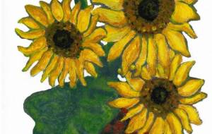 白い背景の4輪の向日葵 - 阿部貴志