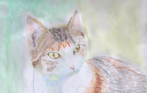 チロ - ゆふーち