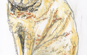 外のネコさん - ゆふーち