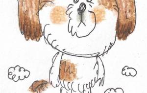 小山のシーズー - 空叶論