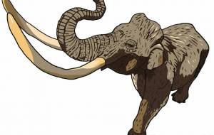 ナウマンゾウ - YU