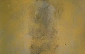 思い出 金色母さん - 真鍋哲地