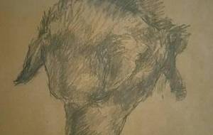 とんた - 真鍋哲地