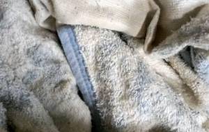 母さんのボロボロ毛布 - 真鍋哲地 