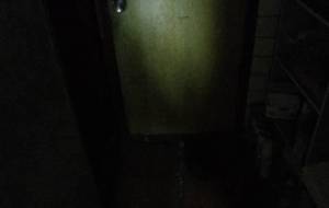 亡者たちの叫び声 - 真鍋哲地