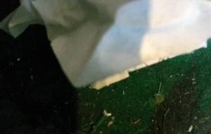 ゴミのような人 僕にただ生きてるだけと - 真鍋哲地