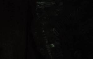 運冥が笑う不幸が喜ぶおめでとうって - 真鍋哲地