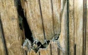 世の中マウンティングばかり - 真鍋哲地