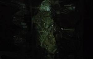 化合物鳥 - 真鍋哲地