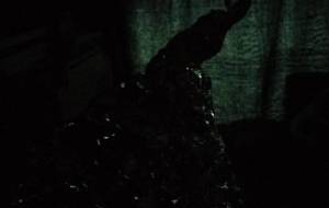 魔物 - 真鍋哲地