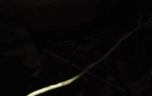 僕は何してるだろう空しい毎日 - 真鍋哲地