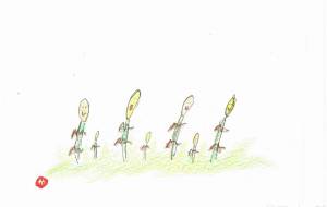 つくし - かづみ