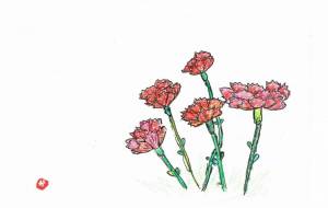 カーネーション - かづみ