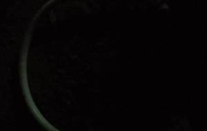 ムサシ兆幼虫 - 真鍋哲地