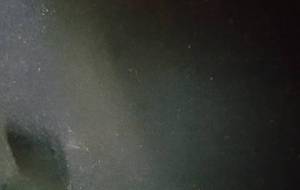 エコロジー影おもい - 真鍋哲地