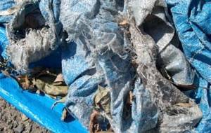 廃棄物と枯れ葉ので愛 - 真鍋哲地