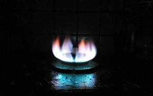 ライフアート炎睡蓮 - 真鍋哲地