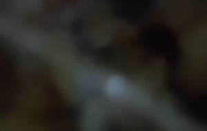 明日の命 - 真鍋哲地