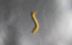 貴方は何人貧困者救った - 真鍋哲地