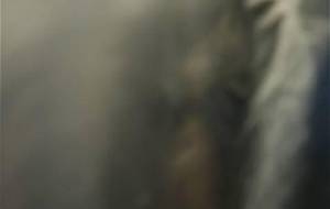 みざるきかざる廃棄真実 - 真鍋哲地