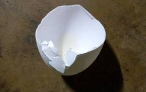 一人で生きて行くのゆめだった - 真鍋哲地