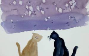 夜の猫 - mAki