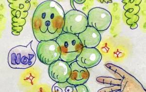 人面マスカット - 空叶論