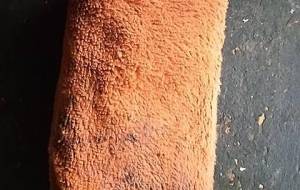 貧困家族のお金叫び - 真鍋哲地