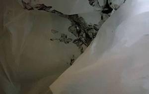 ゴミ絵画アート主義 - 真鍋哲地