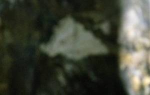 本当に冗談です主義でした - 真鍋哲地