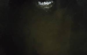 僕は?どこでも?小さな存在 - 真鍋哲地