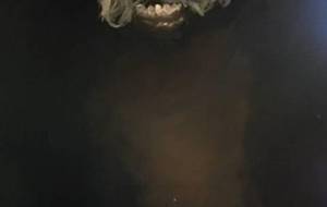 自然動物環境保護的救済 - 真鍋哲地