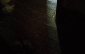 家族にいいたい大好きだよ - 真鍋哲地