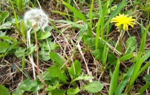 恋人 - 真鍋哲地