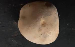 貧困国の君たちへ馬鈴薯食べさせることができたなら - 真鍋哲地