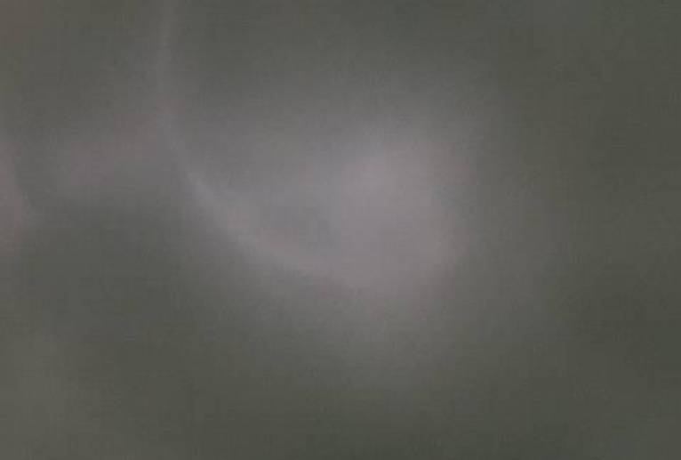 幻覚月花花花 - 真鍋哲地 