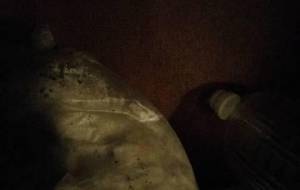 ごみのなかいきる家族 - 真鍋哲地