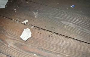 貧困家庭でも愛してる - 真鍋哲地