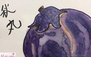 秋丸 - ミューズめぐみ