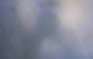 光りのなか喜びをくれた、ひとたち - 真鍋哲地