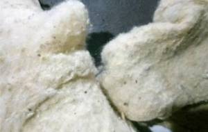 廃棄物、僕の作品を包みこんで - 真鍋哲地