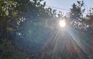 いのち 僕は生きてる - 真鍋哲地