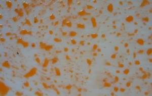 遠くにいきたい誰も知らないところ - 真鍋哲地