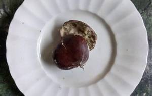 精神病、自分を律することが、歯がゆいです - 真鍋哲地