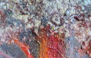 さくら - 久保田 俊