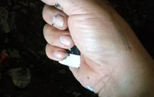 たった100円の絵の具僕の情熱 - 真鍋哲地