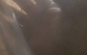 母さん僕の闇をてらして - 真鍋哲地